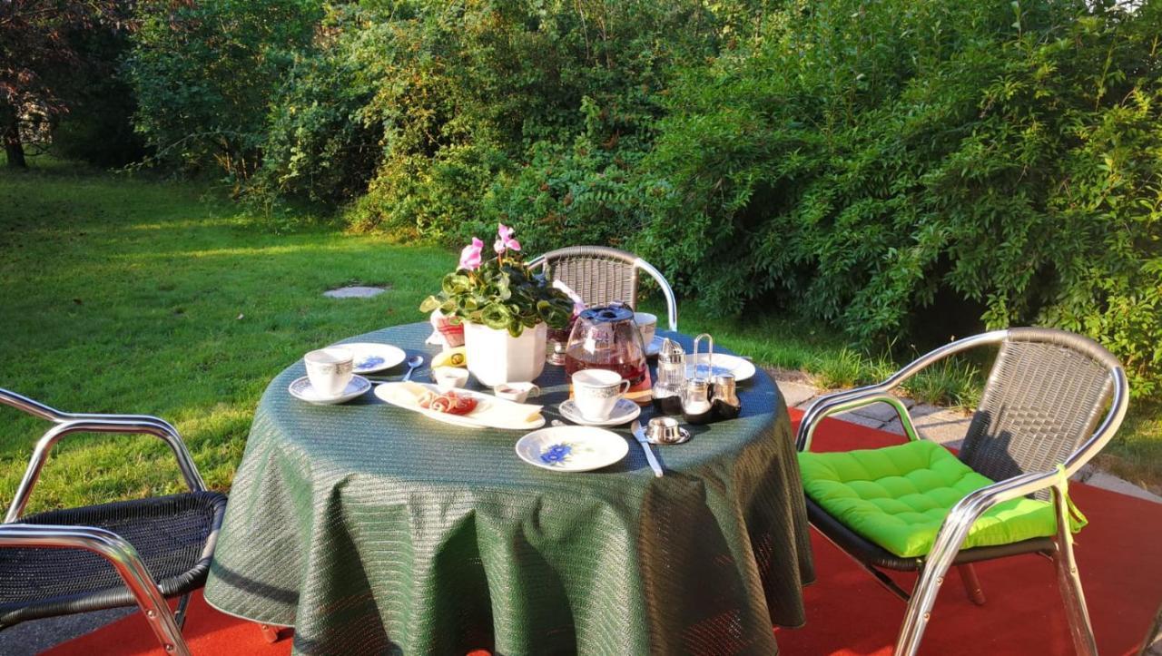 Neusalza-Spremberg Ferienwohnung Am Spreeradweg المظهر الخارجي الصورة